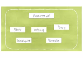 Vorschau - Präsentationen/Tafelbilder - Biologie Digital Nahrungsbeziehungen - Seite 1