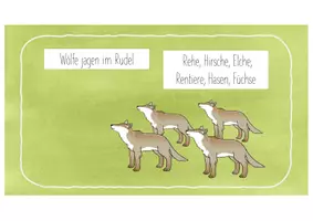 Vorschau - Präsentationen/Tafelbilder - Biologie Digital Nahrungsbeziehungen - Seite 3