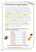Vorschau - Arbeitsblätter - Herbstwaldspaziergang CH-Version - Seite 3