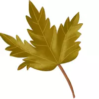 Vorschau - selbst erstellte Cliparts/Grafiken - CLIPARTS: Herbst & Halloween - Seite 2