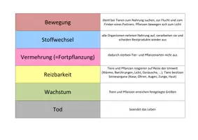 Vorschau - Spiele - Materialpaket "Was ist Biologie" - Seite 1