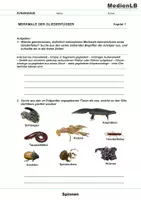 Vorschau - Arbeitsblätter - Spinnen - Kleine Tiere mit großer Bedeutung - Deckblatt