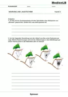 Vorschau - Arbeitsblätter - Spinnen - Kleine Tiere mit großer Bedeutung - Seite 3