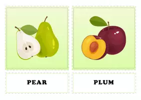 Vorschau - Poster - Fruits & Berries – English Vocabulary Flashcards for Kids - Seite 2