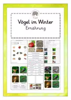 Vorschau - Arbeitsblätter - Vögel im Winter: Ernährung (Tafelmaterial, Bildkarten, ABBs) - Deckblatt