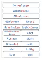 Vorschau - Arbeitsblätter - Vögel im Winter: Ernährung (Tafelmaterial, Bildkarten, ABBs) - Seite 2