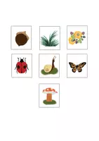 Vorschau - Spiele - Nahrungskette Waldtiere - auch für Homeschooling - Seite 3