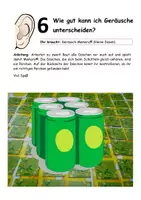 Vorschau - Experimente - Wie gut kann ich Geräusche unterscheiden? - Wir testen das mit einem Geräusch-Memory® - Seite 2