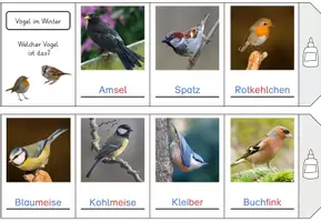 Vorschau - Arbeitsblätter - Vögel im Winter beobachten: Vögel am Futterhaus bestimmen (Leporello, Heft) - Seite 3