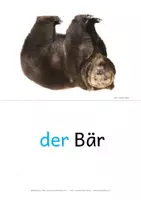 Vorschau - Spiele - Tiere DaZ - Seite 3