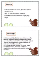 Vorschau - Arbeitsblätter - Eichhörnchen Kartei - Seite 2