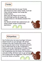 Vorschau - Arbeitsblätter - Eichhörnchen Kartei - Seite 3