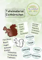 Vorschau - Präsentationen/Tafelbilder - Tafelmaterial Eichhörnchen - Deckblatt