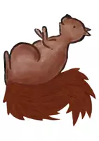 Vorschau - Präsentationen/Tafelbilder - Tafelmaterial Eichhörnchen - Seite 1