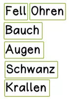 Vorschau - Präsentationen/Tafelbilder - Tafelmaterial Eichhörnchen - Seite 2