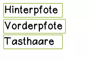 Vorschau - Präsentationen/Tafelbilder - Tafelmaterial Eichhörnchen - Seite 3