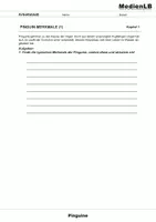 Vorschau - Arbeitsblätter - Pinguine - Anpassung an Lebensräume - Seite 2