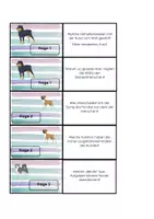 Vorschau - Spiele - Das Hundequiz - Seite 3