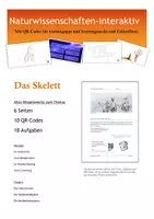 Vorschau - Arbeitsblätter - Komplettpaket x2: Skelett, Knochen, Gelenke, Muskeln - Seite 1