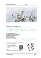 Vorschau - Arbeitsblätter - Komplettpaket x2: Skelett, Knochen, Gelenke, Muskeln - Seite 3