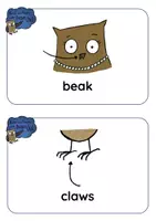 Vorschau - Mal- und Bastelvorlagen - Brown Owl - BODY PARTS BUNDLE - Seite 3