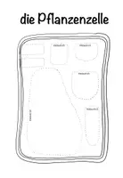 Vorschau - Arbeitsblätter - Flipbook Bau der pflanzlichen Zelle - Seite 3