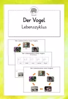Vorschau - Arbeitsblätter - Der Vogel: Foto-Lebenszyklus am Beispiel Amsel - Deckblatt