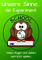 Vorschau - Stundenentwürfe - Wenn Augen und Gehirn verrückt spielen... - Ein Experiment zum Thema Sehen - Seite 2