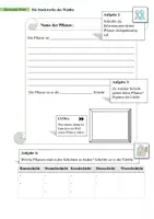 Vorschau - Arbeitsblätter - AB Ökosystem Wald + diff - Seite 1