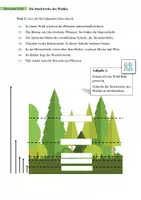 Vorschau - Arbeitsblätter - AB Ökosystem Wald + diff - Seite 2
