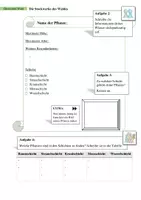 Vorschau - Arbeitsblätter - AB Ökosystem Wald + diff - Seite 3