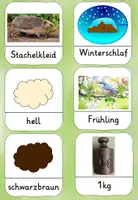 Vorschau - Spiele - Fliegenklatschenspiel für den Sachunterricht "Igel" - Seite 2
