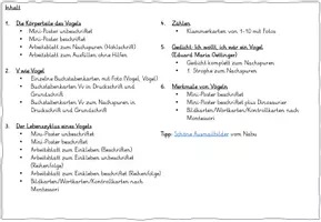 Vorschau - Unterrichtsreihen - Der Vogel: Mini-Einheit (Fotos, differenziert) - Seite 1