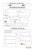 Vorschau - Arbeitsblätter - Arbeitsblatt: Bestandteile und Funktionen des Blutes - Seite 1