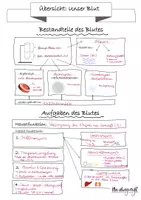 Vorschau - Arbeitsblätter - Arbeitsblatt: Bestandteile und Funktionen des Blutes - Seite 3