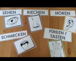 Vorschau - Arbeitsblätter - Die 5 Sinne - Seite 3