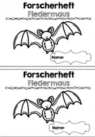 Vorschau - Arbeitsblätter - Forscherheft: Fledermaus - Seite 2