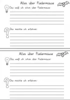 Vorschau - Arbeitsblätter - Forscherheft: Fledermaus - Seite 3