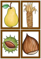Vorschau - Fördermaterial/Inklusion - Bild- und Wortkarten Herbstfrüchte (DaZ) - Seite 3