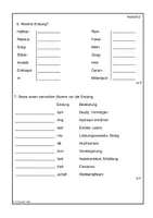Vorschau - Test - Tests zu Nomen (Gruppe A, B) - Seite 2