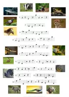 Vorschau - Spiele - Rätsel für den Musikunterricht - 3: tierischer Notenspaß - Seite 1