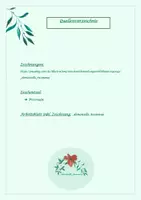 Vorschau - Arbeitsblätter - L'article indéfini - Seite 1