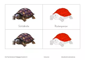 Vorschau - Stationenlernen - Teile einer Schildkröte-One Tree Montessori - Seite 2