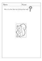 Vorschau - Unterrichtsreihen - Materialpaket: Tiere im Winter (Eichhörnchen und Igel) - Seite 3