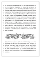 Vorschau - Arbeitsblätter - Der Weihnachtsstern (Sachtext und Aufgaben) - Seite 1
