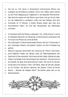 Vorschau - Arbeitsblätter - Der Weihnachtsstern (Sachtext und Aufgaben) - Seite 2