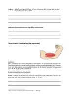 Vorschau - Arbeitsblätter - Unser Körper - unsere Muskeln Theorie - Praxis - Deckblatt
