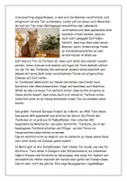 Vorschau - Arbeitsblätter - Tierheime - Aufgaben und Lösungen - Seite 2