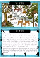 Vorschau - Aufgabenkarten - Tiere im Winter - Wissenskartei - Seite 3