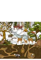 Vorschau - Arbeitsblätter - Tiere im Winter - Lapbook - Seite 3